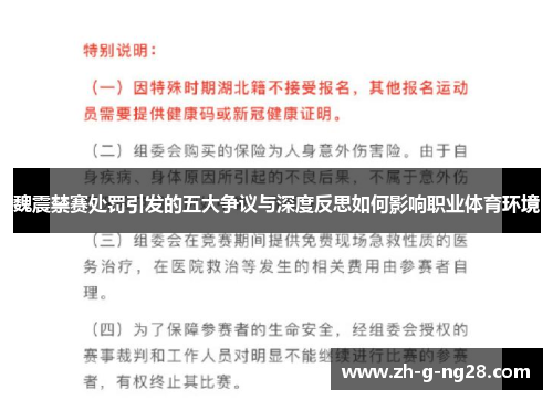 魏震禁赛处罚引发的五大争议与深度反思如何影响职业体育环境