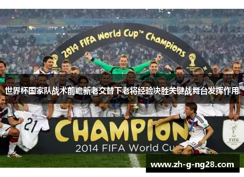 世界杯国家队战术前瞻新老交替下老将经验决胜关键战舞台发挥作用